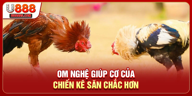 Om nghệ giúp cơ của chiến kê săn chắc hơn